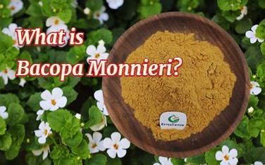 Bacopa Monnieri Bacopa Monnieri
